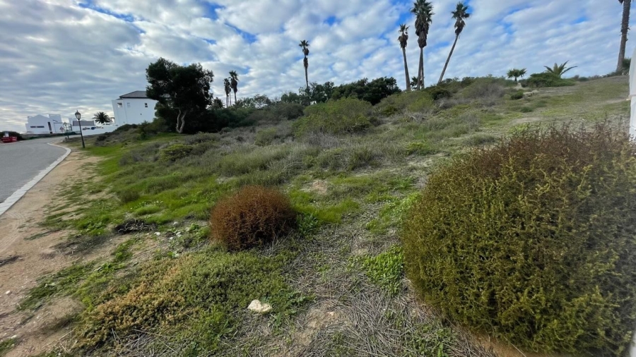 0 Bedroom Property for Sale in Shelley Point Western Cape